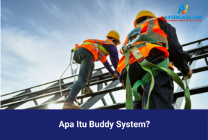 Apa Itu Buddy System?